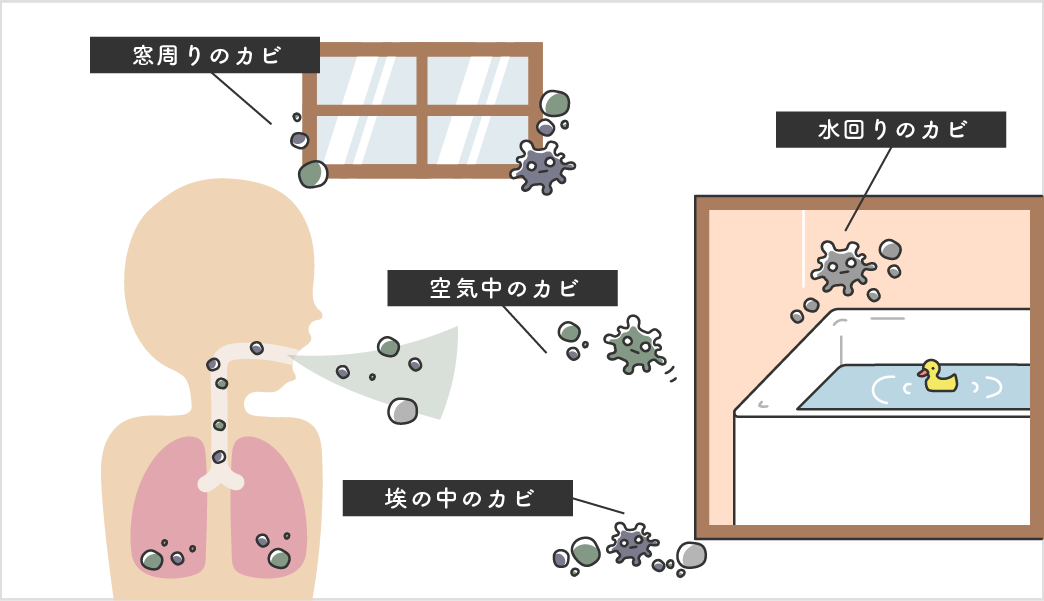 「カビ」と部屋の空気について